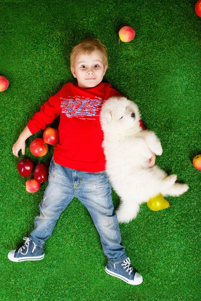 Boy three years old laying with white puppy — Stock Photo, Image