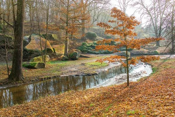 river in the yellow forest in the sunny day in fall