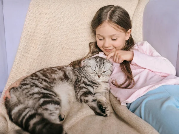Adorable Cute Smiling Girl Hugging Scottish Gray Cat Sofa Home — Stock Photo, Image