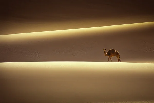 Woestijn od Sahara — Stockfoto