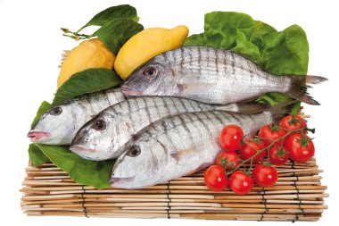 Gıda cousine kompozisyon içerikler yemek için