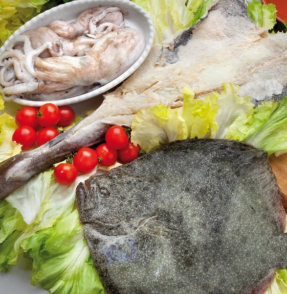 Συστατικό σύνθεση cousine τροφίμων για κατανάλωση ψαριών — Φωτογραφία Αρχείου