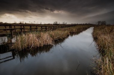 İtalya, Toskana, Lucca, Massaciuccoli Gölü