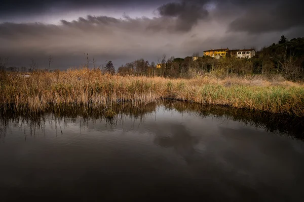 Italy, Tuscany, Lucca, Massaciuccoli Lake — Stock Photo, Image