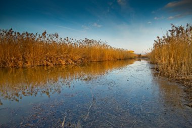Padule di Fucecchio, Tabiat Parkı, Toskana
