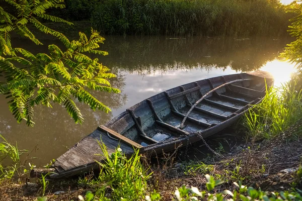 Padule di fucecchio, Naturpark, Toskana — Stockfoto