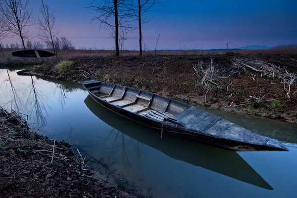 Padule di fucecchio, Naturpark, Toskana — Stockfoto