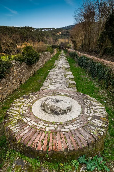 Historic aqueduct, Lucca, Tuscany, Italy