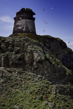 Capraia Island, Arcipelago Toscano Milli Parkı, Toskana, İtalya