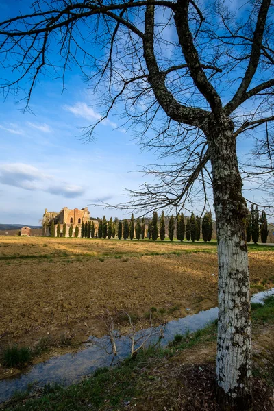 Cistercian Abbey of San Galgano near Chiusdino, Tuscany, Italy — Stock Photo, Image