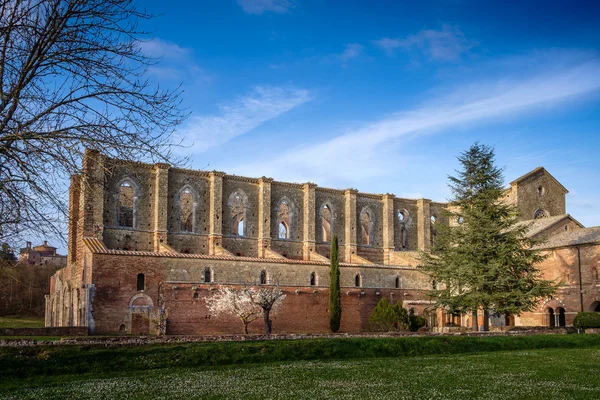 キウズディーノ, トスカーナ, イタリア近くはサン ガルガノ修道院のシトー会修道院 — ストック写真