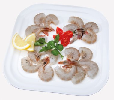 Gıda cousine balık kompozisyon, yemek için madde