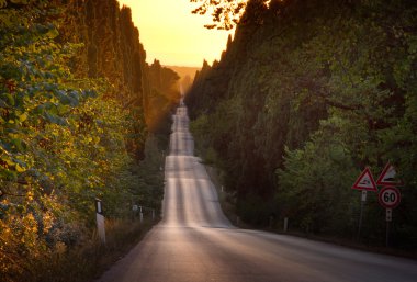 Italy, Tuscany, Castagneto Carducci, Bolgheri, Road and cypresse clipart