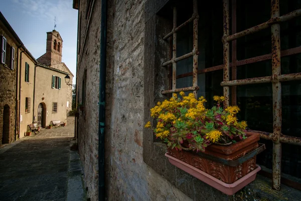 İtalya, Toskana, Montegemoli — Stok fotoğraf