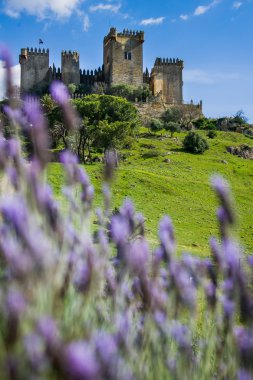 Castillo Almodovar, Cordoba, İspanya