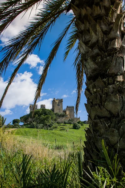 Castillo Almodovar, Cordoba, Spanien — Stockfoto