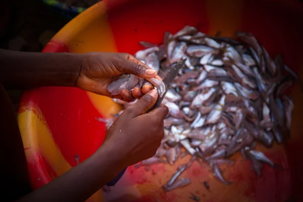 Sierra Leona, África Occidental, las playas de Yongoro — Foto de Stock