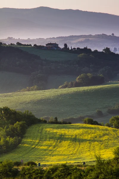 Guardistallo, Toscana, Itália, paisagem no nevoeiro — Fotografia de Stock