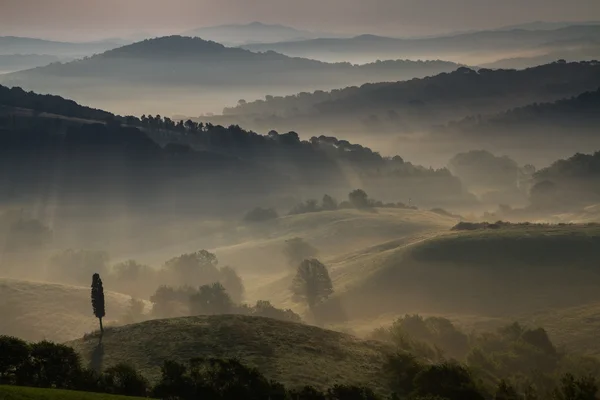 Guardistallo, Toscane, Italie, paysage sur le brouillard — Photo