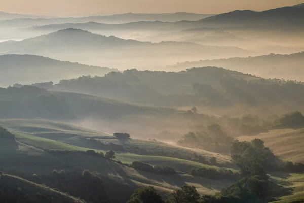Guardistallo, Toscana, Italia, paisaje en la niebla — Foto de Stock