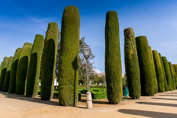 Cordoba, Endülüs, İspanya