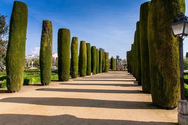 Cordoba, Endülüs, İspanya