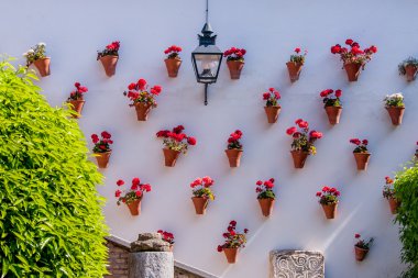 Cordoba, Endülüs, İspanya