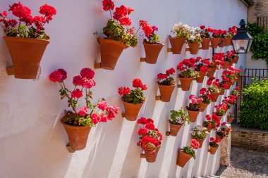 Cordoba, Endülüs, İspanya