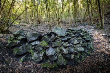 Monterufoli-Caselli Doğa Rezervi 'nin ortasındaki metalik tepelerde bulunan Pomarance belediyesinin yalnızca 17 sakiniyle Libbiano kesimi. Pisa ili, Toskana İtalya.