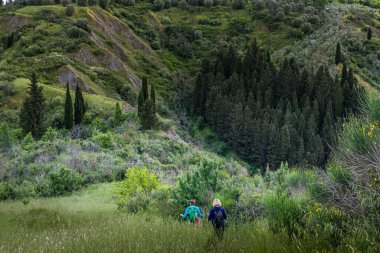CERTALDO, ITALY - 25 MAYIS 2021: İki bilinmeyen kişi, Canonica parkından gelen selviler arasında panoramik bir görünüm Casale vadilerini keşfetmek için, aşındırıcı fenomenlere sahip bir manzara, Flo ilinin antik köyü Certaldo 'ya son bir ziyaret.