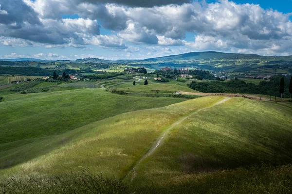 Wandelen Certaldo Panoramisch Uitzicht Tussen Cipressen Van Het Canonica Park — Stockfoto