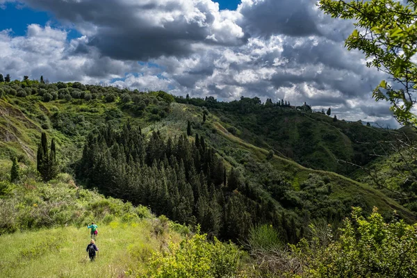 Certaldo Italien Maj 2021 Två Okända Personer Panoramautsikt Bland Cypresserna — Stockfoto