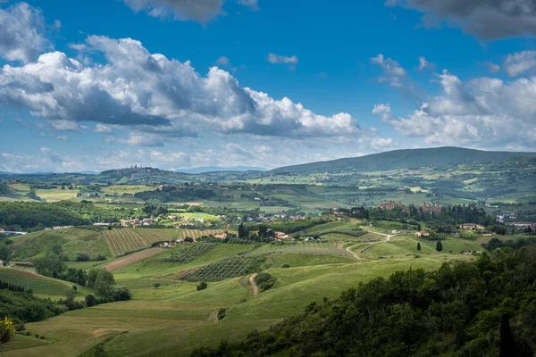 Certaldo 'da seyahat eden Canonica parkındaki selviler arasında Casale vadilerini keşfetmek için panoramik bir manzara, aşındırıcı fenomenlerle dolu bir manzara, Floransa, Toskana - İtalya' nın antik Certaldo köyüne son bir ziyaret.