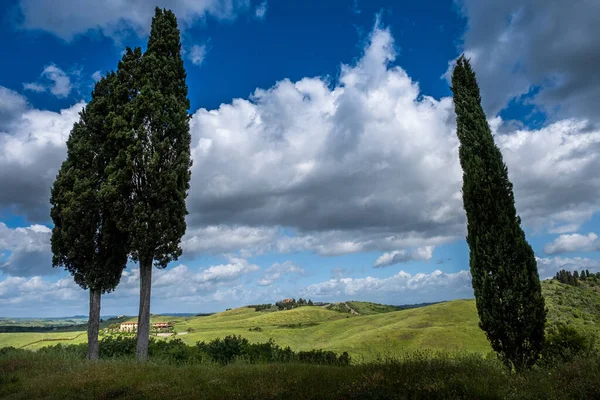 Trekking Certaldo Panoramablick Unter Den Zypressen Des Canonica Parks Die lizenzfreie Stockfotos