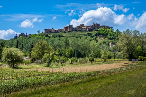 Trekking Und Rundblick Auf Das Antike Dorf Certaldo Provinz Florenz Stockfoto