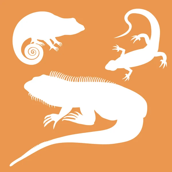 Icono estilizado de lagarto camaleón e iguana en blanco sobre un fondo de color — Vector de stock