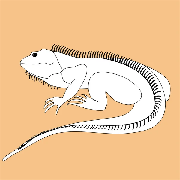 Ilustración de iguana en colores blanco y negro sobre fondo coloreado — Vector de stock