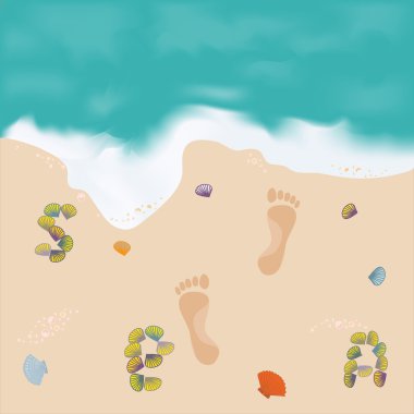 Deniz ve kıyı ayak kum ve yazıt kabuklarında güzel resimleri