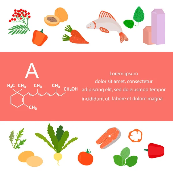 Vector Illustratie Vitamine Bronnen Gezonde Voeding Met Caroteen Verrijkt Met — Stockvector