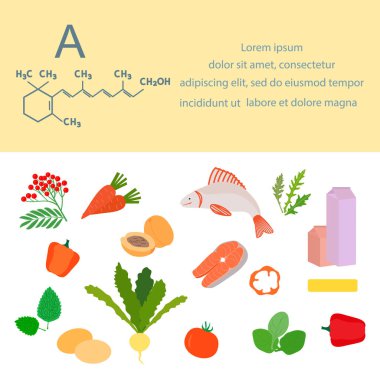 Vektör illüstrasyon A vitamini kaynakları. Karoten içeren sağlıklı yiyecekler, vitaminlerle zenginleştirilmiş. Düzgün doğal beslenme, diyet organik ürünler. Süt ürünleri, yumurta, sebze, meyve, balık.