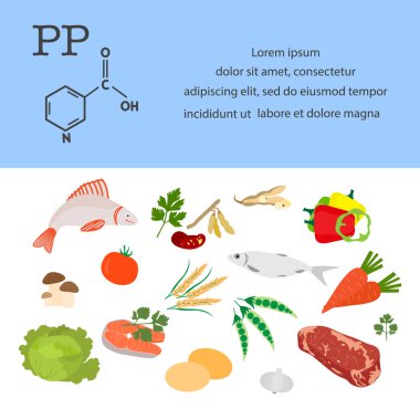 Vektör illüstrasyon Vitamin PP kaynakları. Protein metabolizması için gerekli vitaminlerle zenginleştirilmiş sağlıklı yiyecekler. Doğal beslenme. Dietetik organik ürünler.