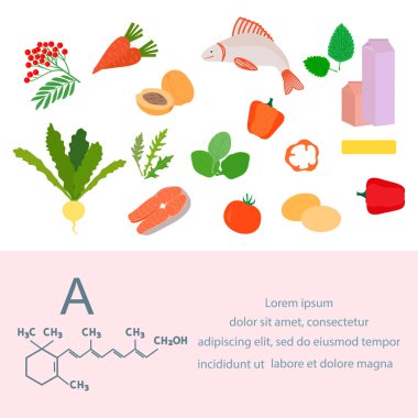 Vektör illüstrasyon A vitamini kaynakları. Karoten içeren sağlıklı yiyecekler, vitaminlerle zenginleştirilmiş. Düzgün doğal beslenme, diyet organik ürünler. Süt ürünleri, yumurta, sebze, meyve, balık.