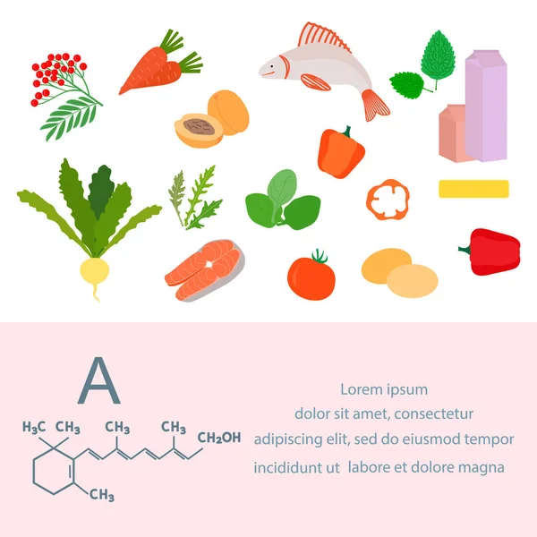 Ilustración Vectorial Fuentes Vitamina Alimento Saludable Que Contiene Caroteno Enriquecido — Vector de stock