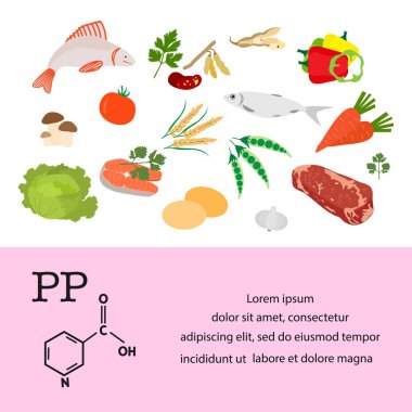 Vektör illüstrasyon Vitamin PP kaynakları. Protein metabolizması için gerekli vitaminlerle zenginleştirilmiş sağlıklı yiyecekler. Doğal beslenme. Dietetik organik ürünler.