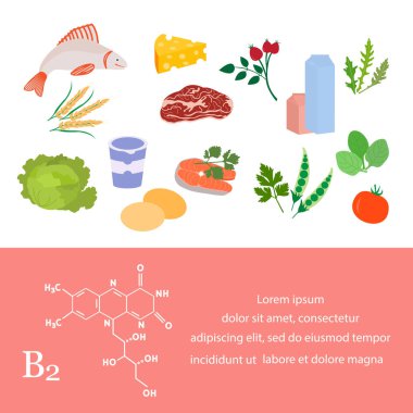 Vektör illüstrasyon B2 vitamini kaynakları. Vitaminlerle zenginleştirilmiş riboflavin içeren sağlıklı yiyecekler. Düzgün doğal beslenme, diyet organik ürünler. Süt ürünleri Et Yeşiller Sebze Balık Peyniri