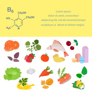 Vektör illüstrasyon B6 vitamini kaynakları. Vitaminlerle zenginleştirilmiş protein metabolizması için sağlıklı besinler şart. Düzgün doğal beslenme, diyet organik ürünler. Süt ürünleri Sebze Balık Fındığı