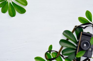 kamera ve yaprakları