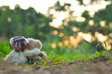 oyuncak ayı çimenlerin üzerinde