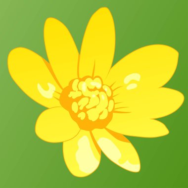 Güzel Bahar Çiçeği. 