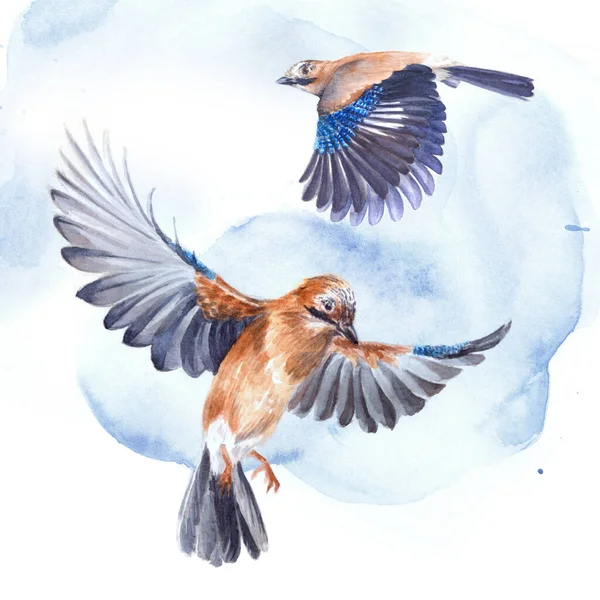 watercolor illustration with two birds in the sky